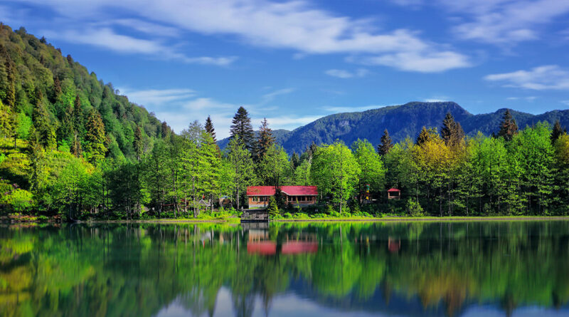 Artvin Demir Firmaları