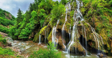 Giresun İnşaat Demiri Firmaları